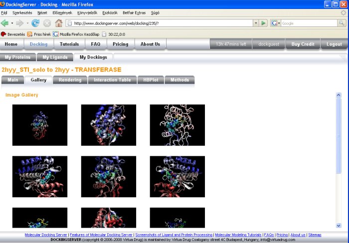 Ligand Docking Results